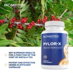 BioMatrix Pylor-X - Suplemento para Conforto Digestivo com Mastic Gum e Berberina - 5