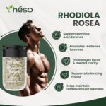 Cápsulas de Extrato de Rhodiola Rosea - Fórmula Adaptogênica com Ashwagandha, L-Theanine e Pimenta Preta para Suporte ao Estresse e Foco Mental - 90 Cápsulas - 7