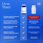 Probióticos Saccharomyces Boulardii Essential Stacks - 5 Bilhões de CFUs para Saúde Intestinal (60 Cápsulas) - 7