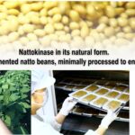 PHARMAKON Nattokinase - Cápsulas Macias de Extrato de Soja Fermentada e Bioacessível para Saúde Cardiovascular - 3