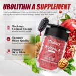 Suplemento de Urolithin A com CoQ10 e Resveratrol 200mg - Suporte à Energia Celular e Saúde Mitocondrial - 7