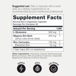 Suplemento de Zinco L-Carnosina 1000 mg - Fórmula Tripla com L-Glutamina e Ulmeiro - 7