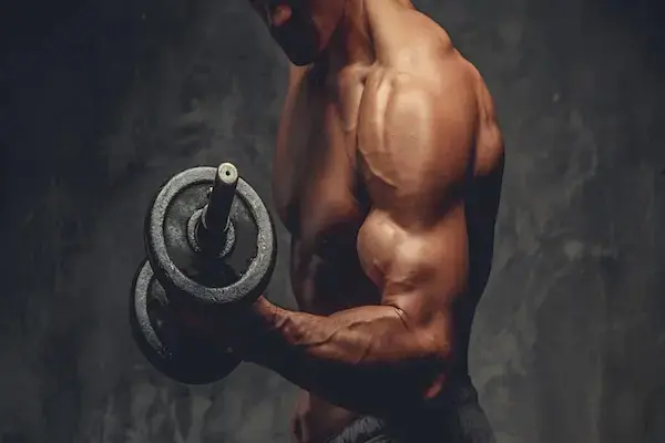 Como os Suplementos de Myostatin Apoiam o Crescimento Muscular