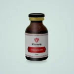 Coenzima Q10 - Potente Antioxidante e Suporte à Energia Celular