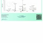 Mistura GLOW – Peptídeos BPC-157, GHK-Cu e TB-500 para Pesquisa Avançada em Laboratórios - 9