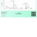 Humanin Pure Health Peptides 5mg - Peptídeo Sintético Liofilizado para Pesquisa Científica - 5
