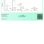 Adipotide Pure Health Peptides 5mg - Peptidomimético para Pesquisa em Laboratório com Alta Pureza - 5