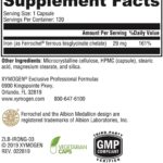 XYMOGEN Ferro Glicinato - Suplemento de Ferro de Alta Absorção para Níveis de Hemoglobina Saudáveis - 2