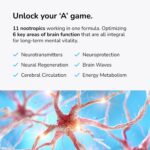 Mind Lab Pro® MLP® v4 - Suplemento Nootrópico Natural para Aumento da Memória e Foco - 3
