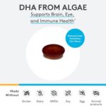XYMOGEN DHA de Algas - Suplemento Vegano de Omega-3 DHA para Cérebro, Olhos e Imunidade - 7