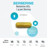 Berberina XYMOGEN - Suplemento Vegetal para Suporte Metabólico e Imunológico - 120 Cápsulas - 4