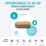 XYMOGEN ProbioMax IG 26 - Pó de Ovo Imunizado e Bacillus Coagulans para Saúde Digestiva - 4
