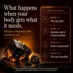 Shilajit Preto de Alta Potência com 80% de Ácido Fulvico - Aumenta Testosterona e Vitalidade Masculina - 3
