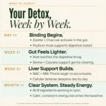 Zeolite Binder Detox - Limpeza de Parasitas e Suporte ao Fígado com Clinoptilolite e Carvão Ativado - 5