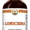 Tintura de Flor de Lonicera (Lonicera Japonica) - Extrato Líquido Vegano Natural para Saúde e Bem-Estar