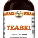 Tintura de Raiz de Teasel (Dipsacus Fullonum) - Extrato Líquido Natural e Vegano de 118ml para Conforto e Mobilidade Articular
