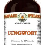 Extrato Líquido de Folha de Pulmonária (Pulmonaria Officinalis) 60ml - Suporte Natural para a Saúde Respiratória e Digestiva - 10