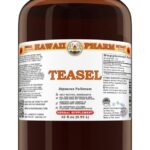 Tintura de Raiz de Teasel (Dipsacus Fullonum) - Extrato Líquido Natural e Vegano de 118ml para Conforto e Mobilidade Articular - 10