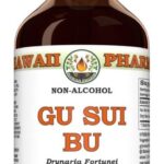Gu Sui Bu (Drynaria Fortunei) Extrato Glicerinado - Suporte Natural para Ossos e Articulações 120ml - 11