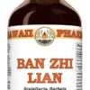 Extrato Líquido de Ban Zhi Lian (Scutellaria Barbata) - 60ml para Suporte ao Fígado e Detox Natural