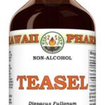 Extrato de Teasel Sem Álcool 60ml - Conforto Articular, Suporte à Mobilidade e Função Hepática