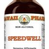Extrato Líquido de Folhas Secas de Speedwell (Veronica Officinalis) - Suporte Respiratório Natural e Vegan 60ml