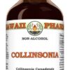 Extrato Líquido de Raiz de Collinsonia Canadensis - 60ml - Suporte à Função Renal e Conforto Urinário