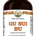 Gu Sui Bu (Drynaria Fortunei) Extrato Glicerinado - Suporte Natural para Ossos e Articulações 120ml