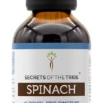 Extrato Líquido de Espinafre Sem Álcool Secrets of the Tribe - Suporte Nutricional Natural em 120ml - 6