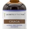 Extrato de Cogumelo Chaga Sem Álcool Secrets of the Tribe - Poderoso Antioxidante e Imunidade Natural (120ml)