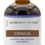 Extrato de Cogumelo Chaga Sem Álcool Secrets of the Tribe - Poderoso Antioxidante e Imunidade Natural (120ml)