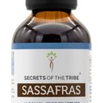 Tintura de Sassafrás Sem Álcool Secrets of the Tribe - Extrato Natural de Casca de Raiz 4 oz - 6