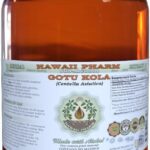 Extrato Líquido de Gotu Kola Sem Álcool Hawaii Pharm - Suporte à Memória e Concentração Natural 60ml - 4