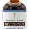 Tinture de Devil's Club Sem Álcool Secrets of the Tribe - Extrato Natural de Raiz Dried Root 120ml