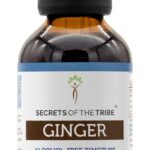Extrato de Gengibre Sem Álcool Secrets of the Tribe - 4 OZ de Raiz Secas para Bem-Estar Natural - 6
