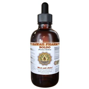 Hawaii Pharm Extrato Líquido de Boldo (Peumus boldus) 120ml - Alta Concentração e Natural