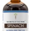 Extrato Líquido de Espinafre Sem Álcool Secrets of the Tribe - Suporte Nutricional Natural em 120ml