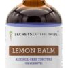 Extrato Líquido de Erva-Cidreira Sem Álcool Secrets of the Tribe - Tônico Natural Relaxante e Calmante 118ml