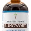 Tinture de Pulmonária Sem Álcool Secrets of the Tribe - Extrato Natural 120ml para Saúde Respiratória