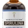 Extrato Líquido de Spirulina Sem Álcool Secrets of the Tribe - Suplemento Natural Rico em Nutrientes