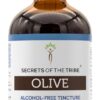 Extrato Líquido de Folhas Secas de Oliveira Sem Álcool Secrets of the Tribe - 120ml de Qualidade Premium