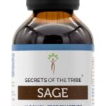 Extrato Líquido de Sálvia Sem Álcool Secrets of the Tribe - 120ml com Alta Potência e Pureza Natural - 6