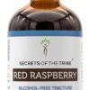 Extrato de Folha de Framboesa Vermelha Sem Álcool Secrets of the Tribe - 120ml - Produto Natural e Puro
