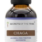Extrato de Cogumelo Chaga Sem Álcool Secrets of the Tribe - Poderoso Antioxidante e Imunidade Natural (120ml) - 7