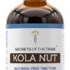 Extrato de Noz de Kola Sem Álcool Secrets of the Tribe - 120ml - Energizante Natural e Antioxidante