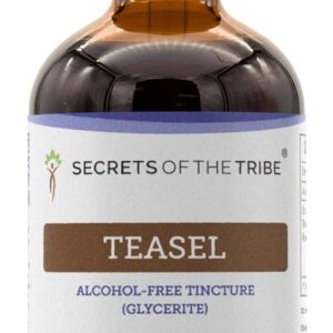 Extrato Líquido de Teasel Sem Álcool Secrets of the Tribe - 120ml - Natural e Purificado