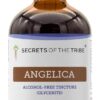 Tintura de Angélica Sem Álcool Secrets of the Tribe - Extrato Natural da Raiz Dried (120ml)
