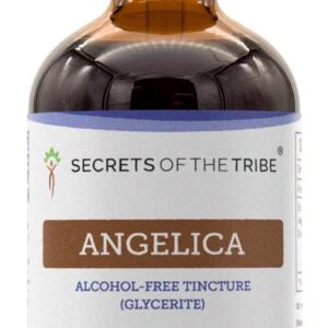 Tintura de Angélica Sem Álcool Secrets of the Tribe - Extrato Natural da Raiz Dried (120ml)