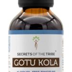 Extrato Líquido de Gotu Kola Sem Álcool - Secrets of the Tribe - 4 Oz de Alta Potência - 6