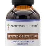 Extrato Líquido de Castanha da Índia Sem Álcool Secrets of the Tribe - 120ml com Alta Potência e Pureza - 7